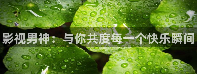 久久人人高清：影视男神：与你共度每一个快乐瞬间