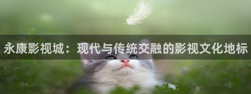 97人人人人爽人人人片av：永康影视城：现代与传统交融的影视文化地标