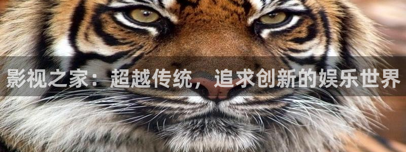 超碰97人人在线：影视之家：超越传统，追求创新的娱乐世界