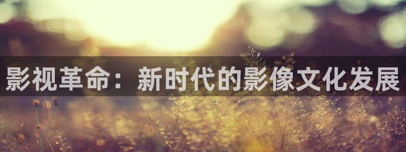 人人做天天爱夜夜爽毛片：影视革命：新时代的影像文化发展