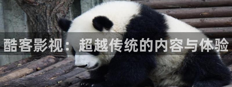人人热在线视频：酷客影视：超越传统的内容与体验