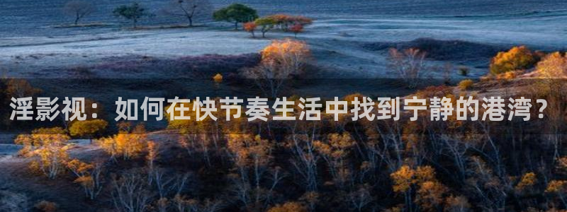 人人电影官网：淫影视：如何在快节奏生活中找到宁静的港湾？