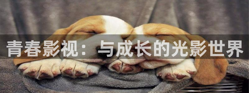 97人人高清：青春影视：与成长的光影世界