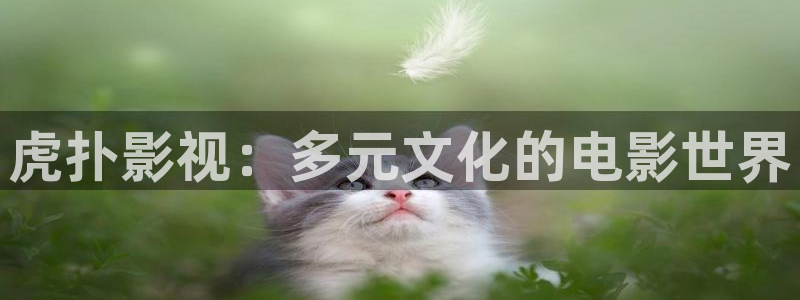 人人碰免费在线视频：虎扑影视：多元文化的电影世界